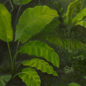 Echoes in the Canopy