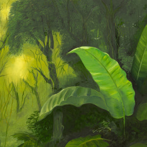 Echoes in the Canopy