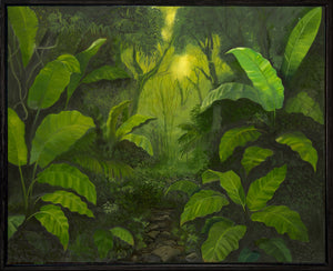 Echoes in the Canopy