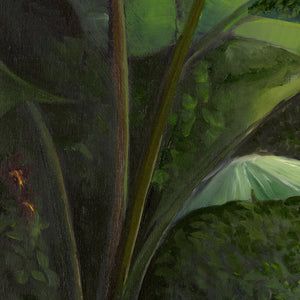 Walk into the Rainforest