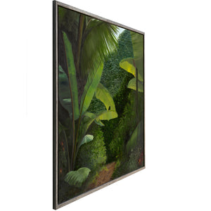 Walk into the Rainforest