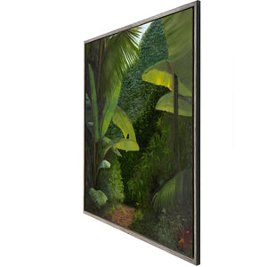 Walk into the Rainforest