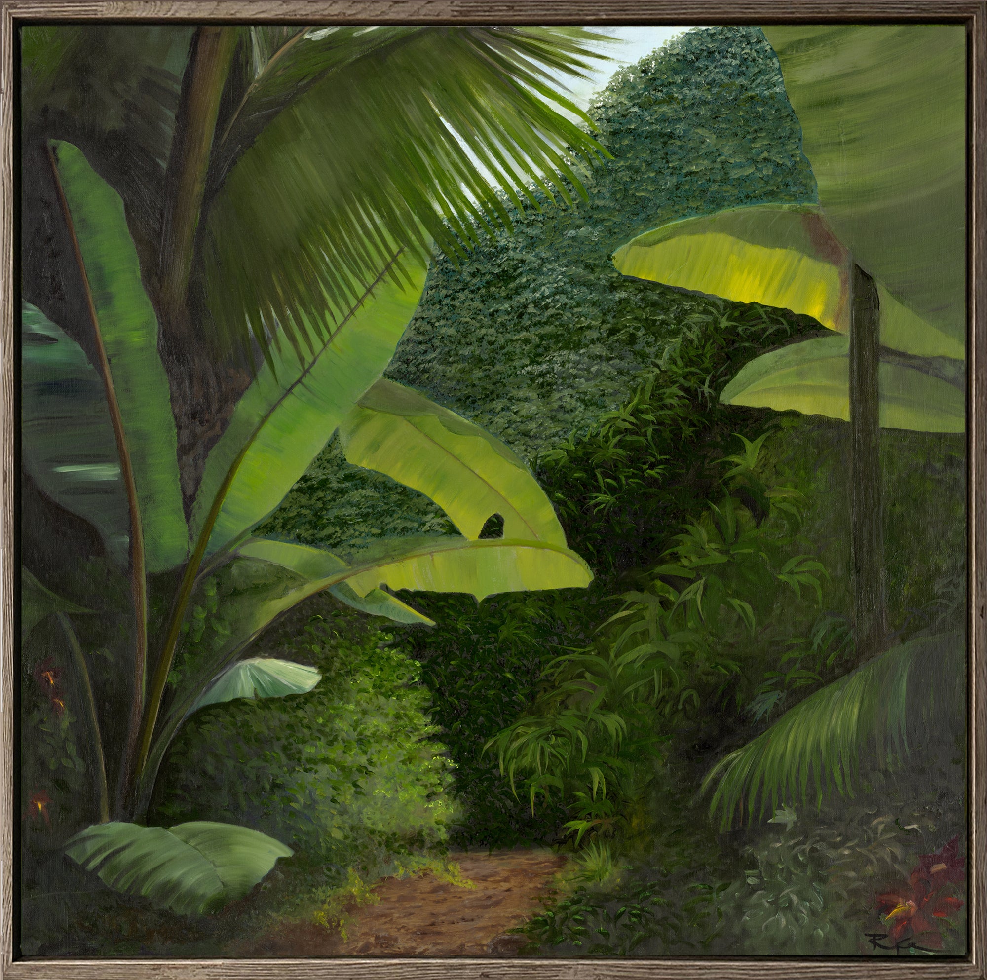 Walk into the Rainforest