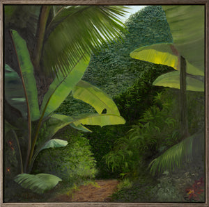 Walk into the Rainforest