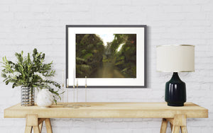 Orchid #1 Limited Edition Framed Print