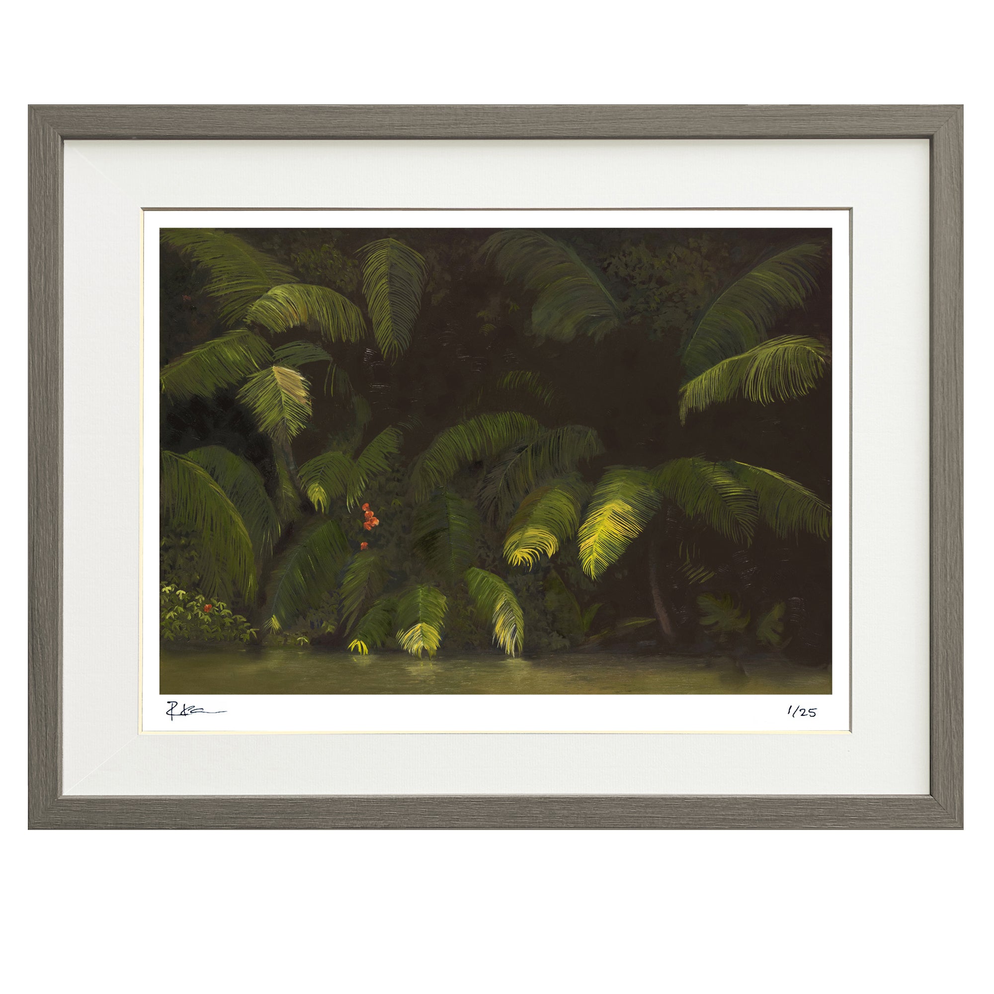 Orchids #2 Limited Edition Framed Print