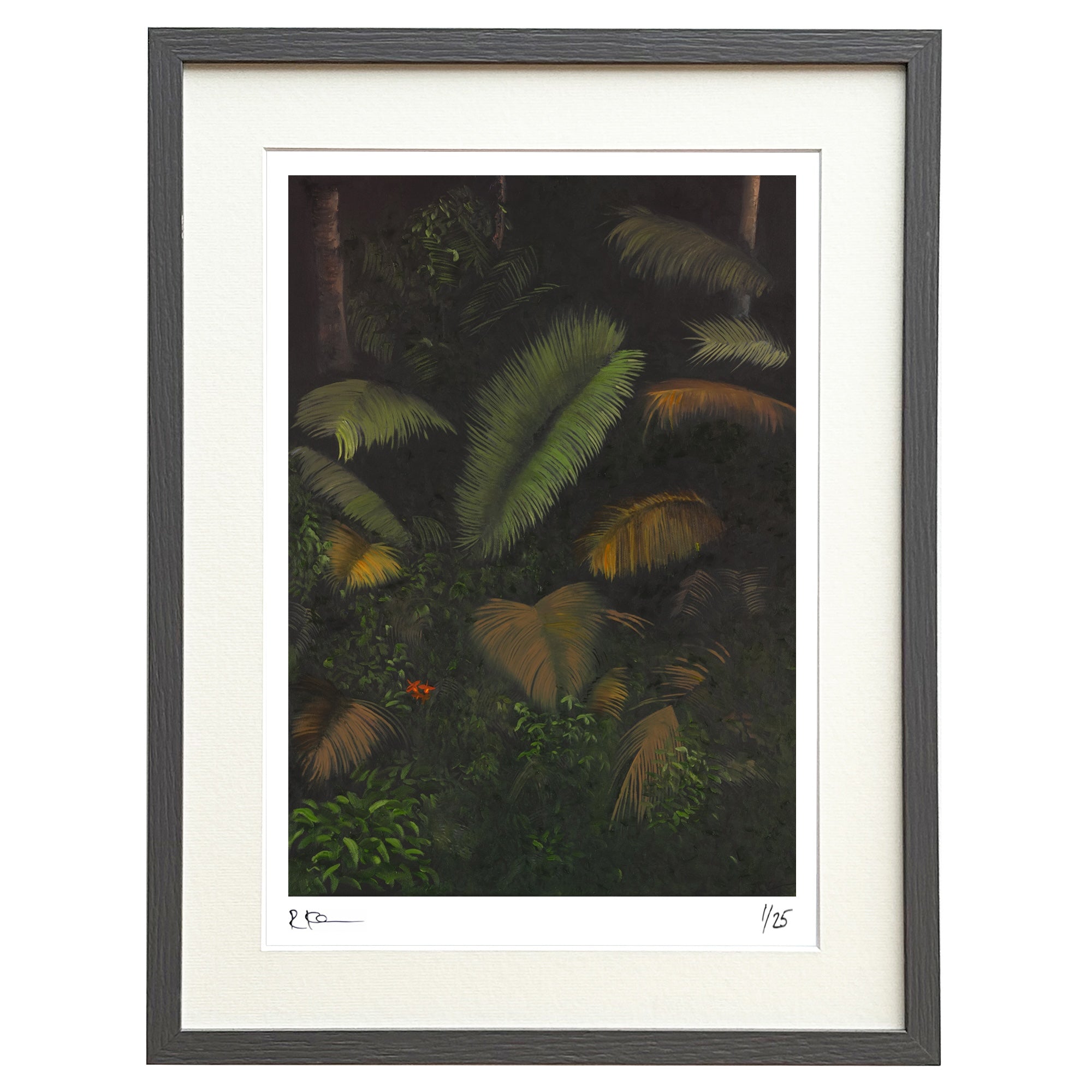 Orchids #3 Limited Edition Framed Print