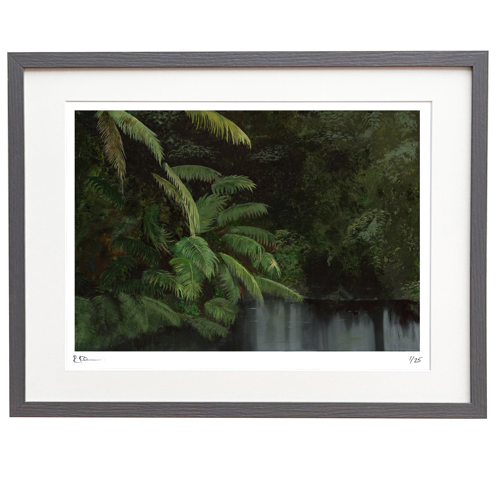 Rainforest Limited Edition Framed Print