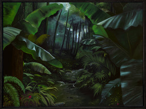 Light Through the Rainforest