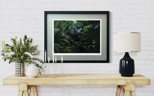 Light through the Rainforest