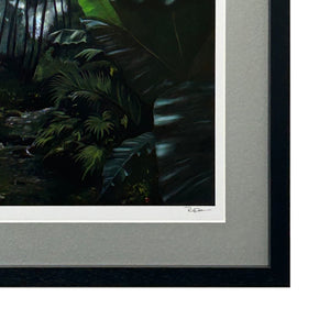 Light through the Rainforest