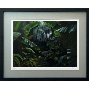 Light through the Rainforest