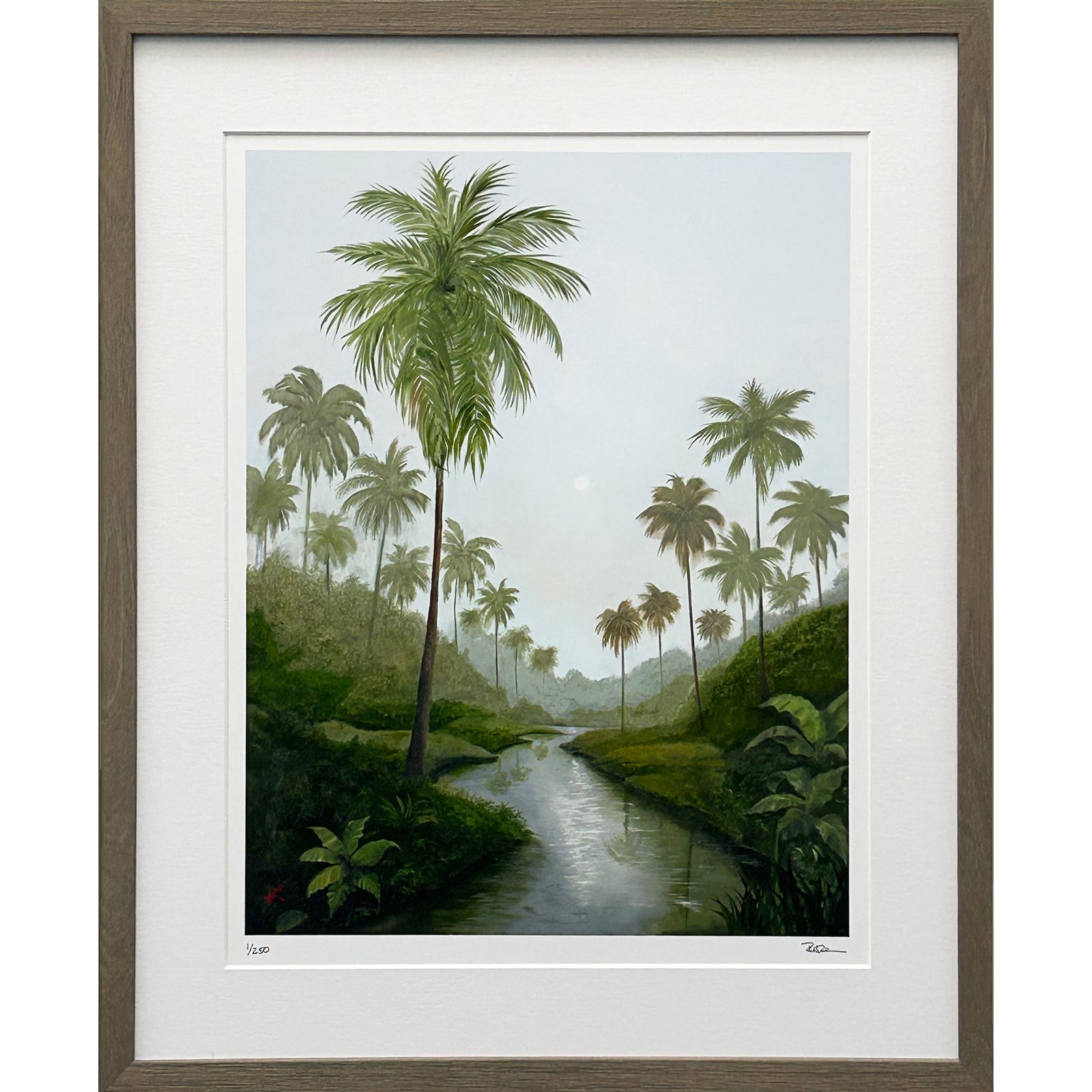 Tropic Mist Limited Edition Framed Print