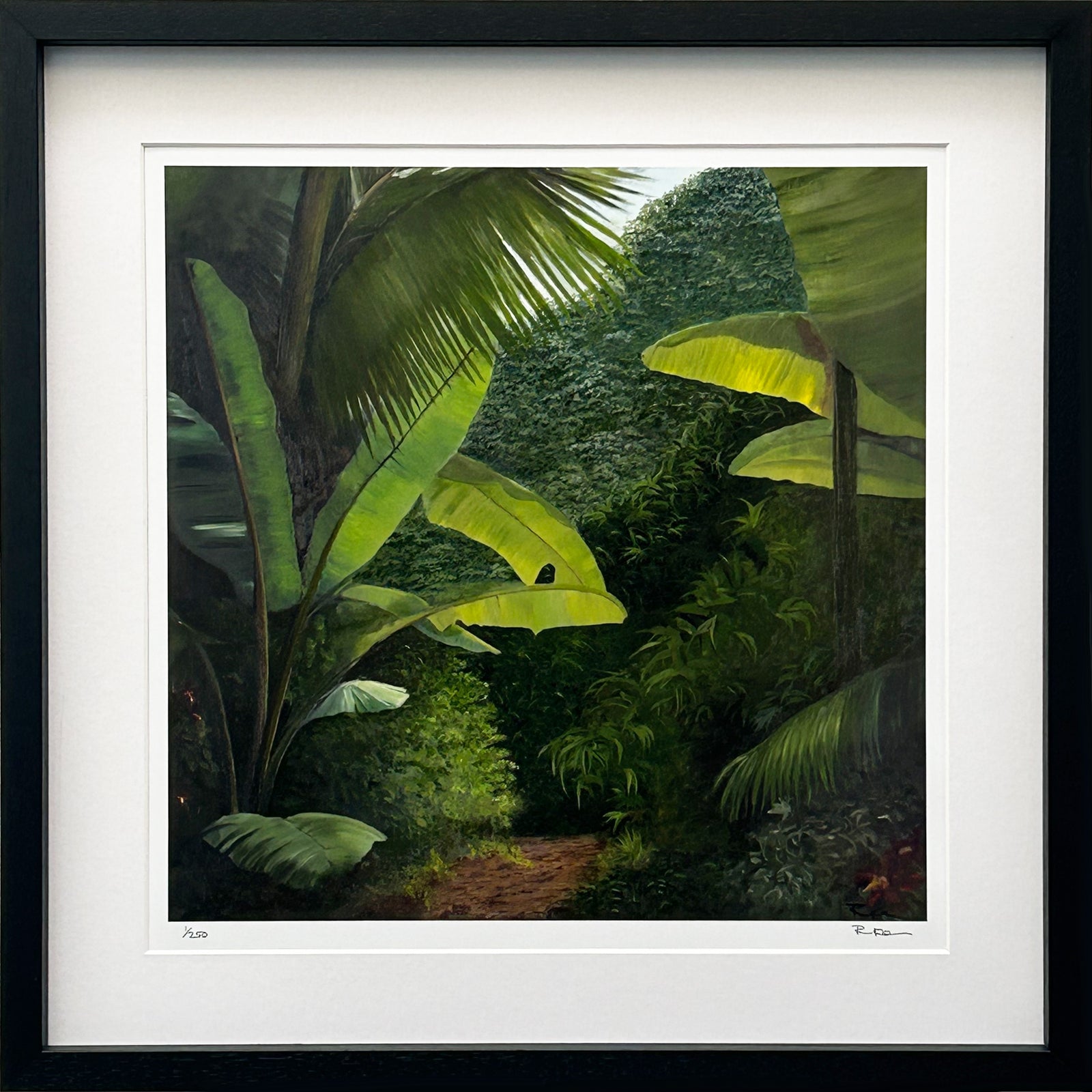 Walk into the Rainforest Limited Edition Framed Print