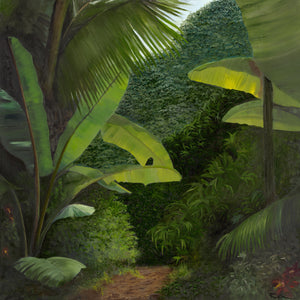 Walk into the Rainforest Limited Edition Framed Print