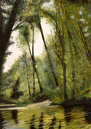 Wetlands Limited Edition Framed Print